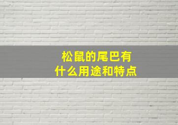 松鼠的尾巴有什么用途和特点