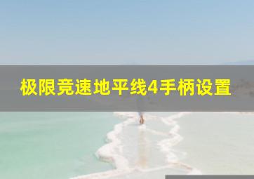 极限竞速地平线4手柄设置