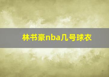 林书豪nba几号球衣