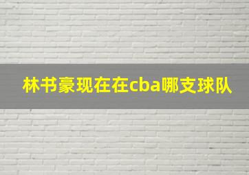 林书豪现在在cba哪支球队