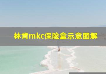 林肯mkc保险盒示意图解