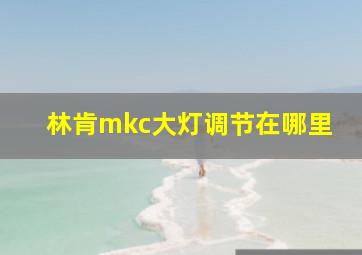 林肯mkc大灯调节在哪里