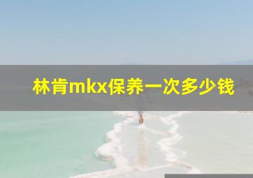 林肯mkx保养一次多少钱