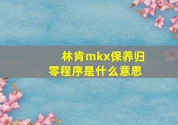 林肯mkx保养归零程序是什么意思