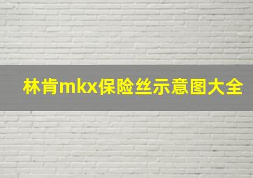 林肯mkx保险丝示意图大全