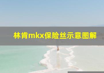 林肯mkx保险丝示意图解