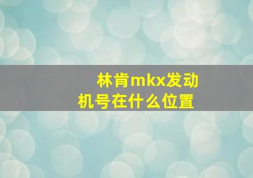 林肯mkx发动机号在什么位置