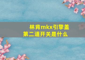 林肯mkx引擎盖第二道开关是什么