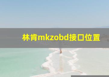 林肯mkzobd接口位置