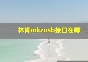 林肯mkzusb接口在哪