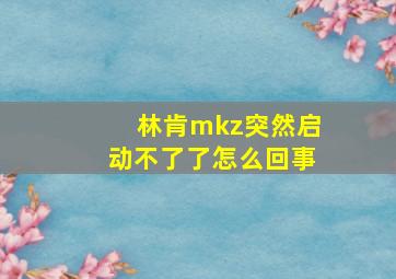 林肯mkz突然启动不了了怎么回事