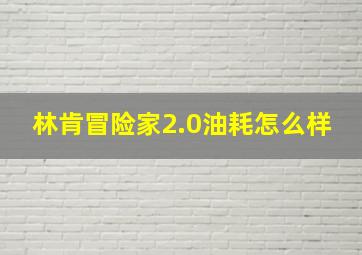 林肯冒险家2.0油耗怎么样