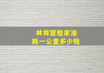 林肯冒险家油耗一公里多少钱