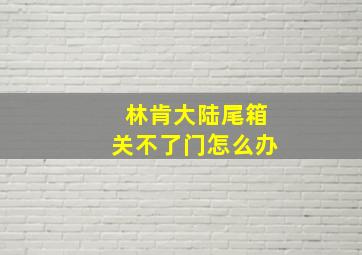 林肯大陆尾箱关不了门怎么办