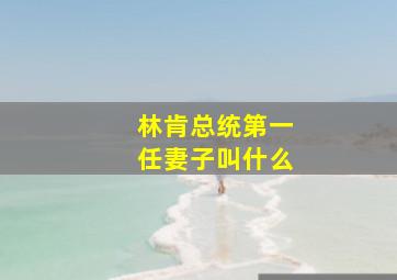 林肯总统第一任妻子叫什么