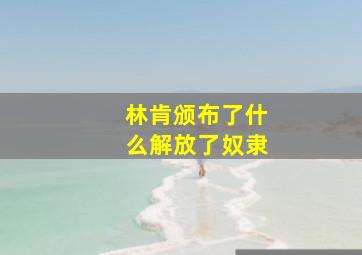 林肯颁布了什么解放了奴隶