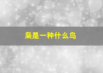 枭是一种什么鸟