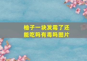 柚子一块发霉了还能吃吗有毒吗图片