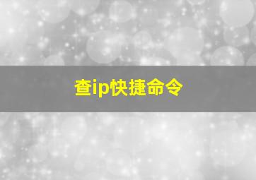 查ip快捷命令