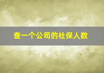 查一个公司的社保人数