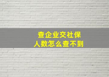 查企业交社保人数怎么查不到