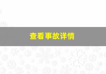 查看事故详情