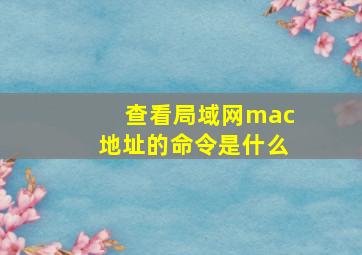 查看局域网mac地址的命令是什么