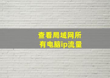 查看局域网所有电脑ip流量