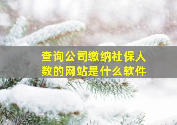 查询公司缴纳社保人数的网站是什么软件