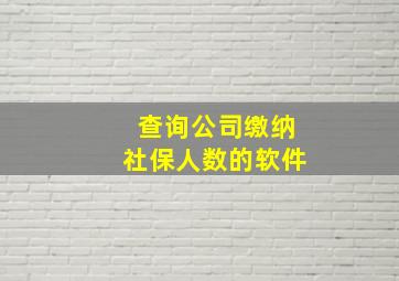 查询公司缴纳社保人数的软件