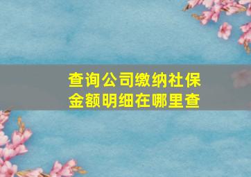 查询公司缴纳社保金额明细在哪里查