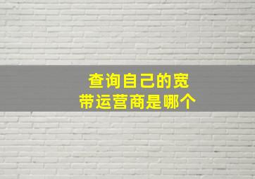 查询自己的宽带运营商是哪个