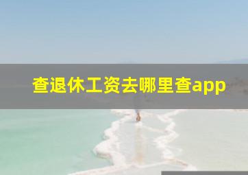 查退休工资去哪里查app