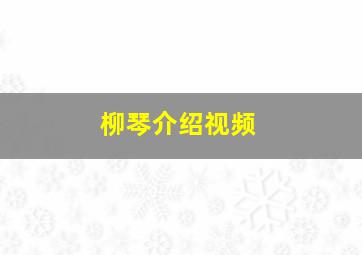 柳琴介绍视频