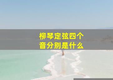 柳琴定弦四个音分别是什么