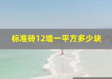 标准砖12墙一平方多少块