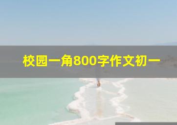 校园一角800字作文初一