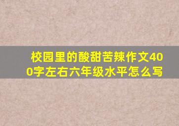 校园里的酸甜苦辣作文400字左右六年级水平怎么写