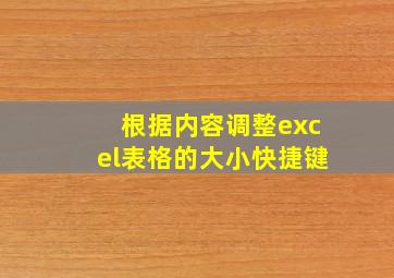 根据内容调整excel表格的大小快捷键