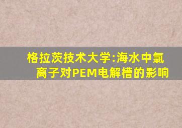 格拉茨技术大学:海水中氯离子对PEM电解槽的影响