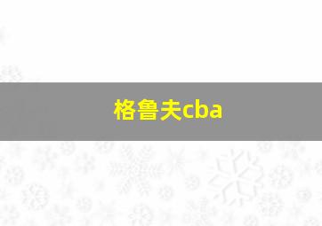 格鲁夫cba