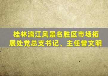 桂林漓江风景名胜区市场拓展处党总支书记、主任曾文明