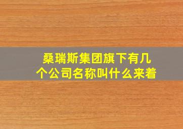 桑瑞斯集团旗下有几个公司名称叫什么来着