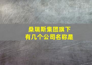 桑瑞斯集团旗下有几个公司名称是