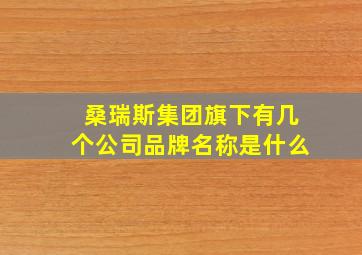 桑瑞斯集团旗下有几个公司品牌名称是什么