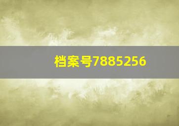 档案号7885256