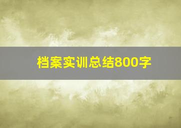 档案实训总结800字