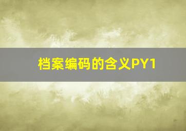 档案编码的含义PY1