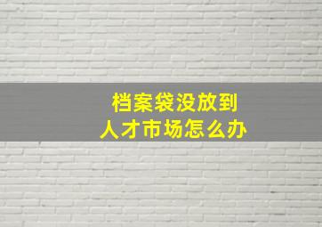 档案袋没放到人才市场怎么办