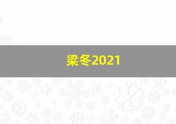 梁冬2021